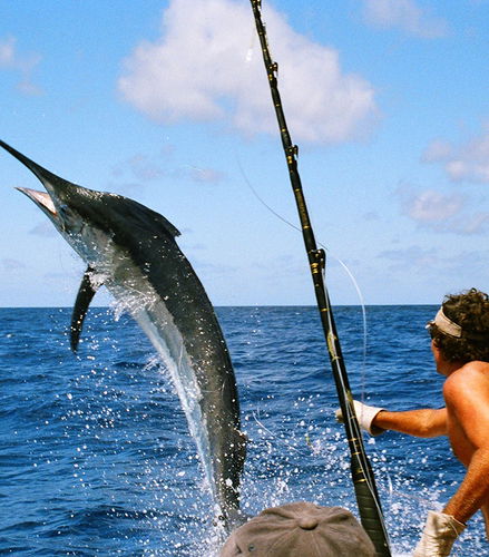 Foto de Pesca en alta mar