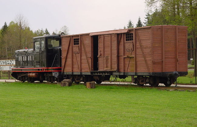 Tour to Druskininkai - A spa town in Southern Lithuania - Foto 4