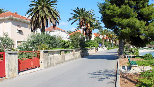 Apartments Damjanka - Foto 3