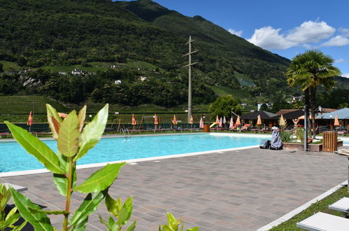 Foto 1 - Casa de 2 quartos em Bellinzona com piscina e jardim