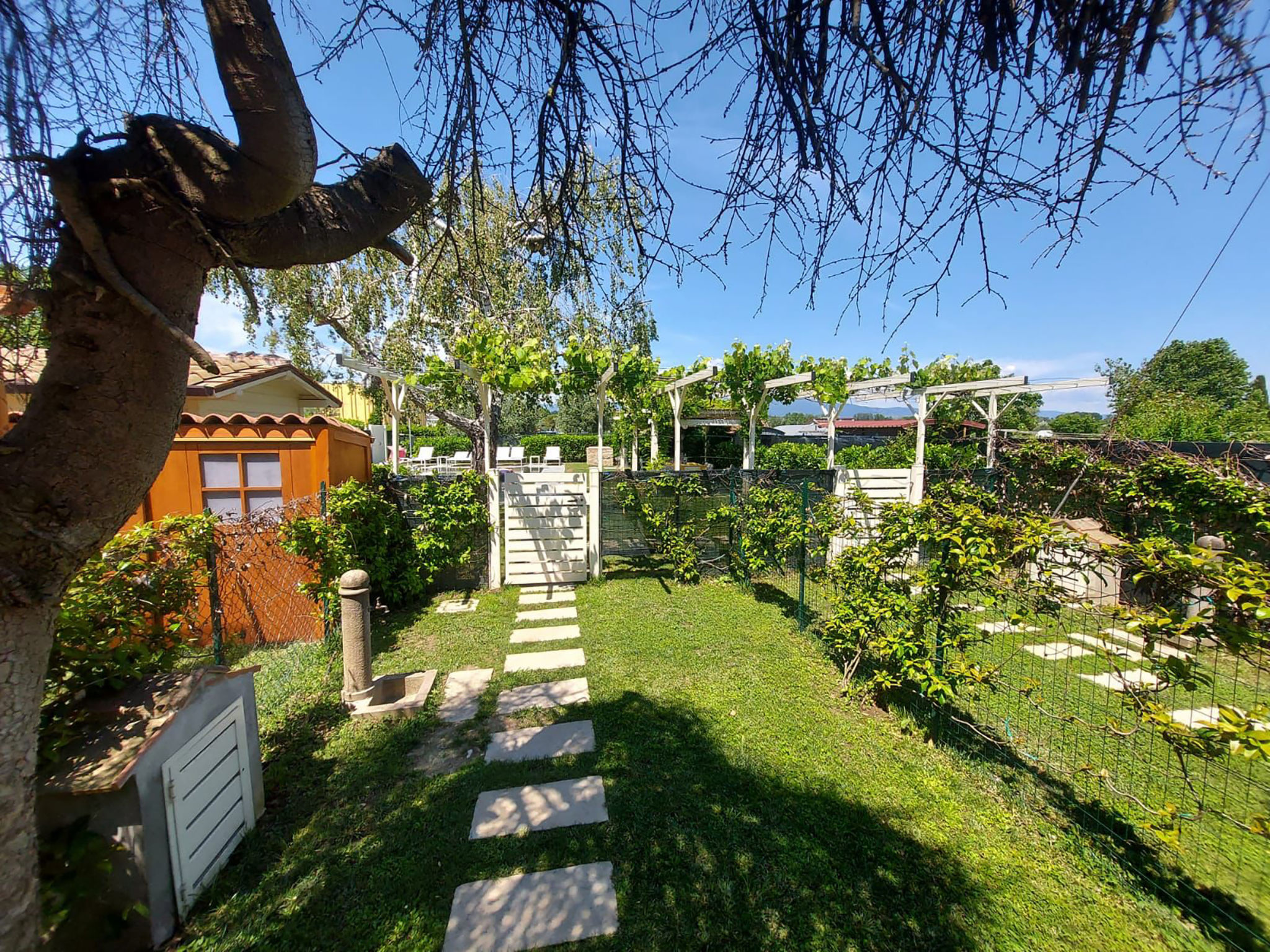 Photo 7 - Maison en Capannori avec piscine et jardin