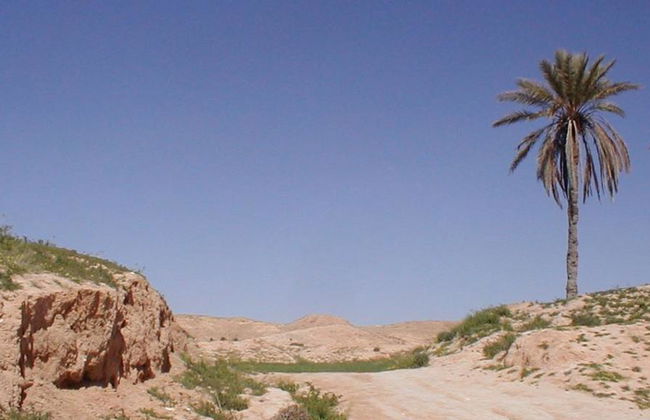 Explora Matmata y Douz - Excursión de día completo - Foto 4