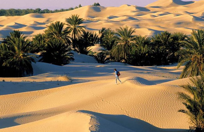 Explora Matmata y Douz - Excursión de día completo - Foto 2