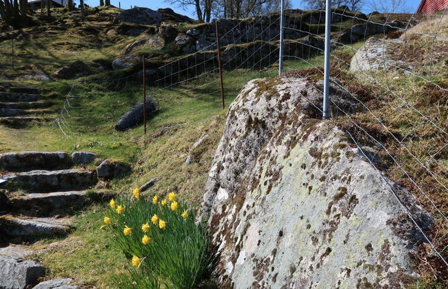 Haus mit 4 Schlafzimmern in Austevoll mit garten und terrasse - Foto 28