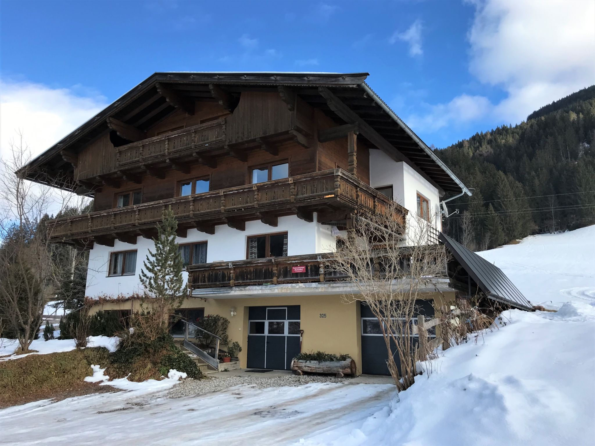 Photo 38 - Appartement de 1 chambre à Wildschönau avec jardin et vues sur la montagne