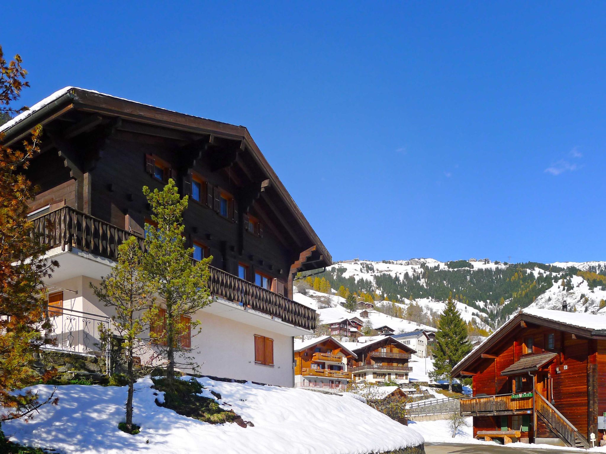 Foto 32 - Haus mit 6 Schlafzimmern in Riederalp mit garten und blick auf die berge