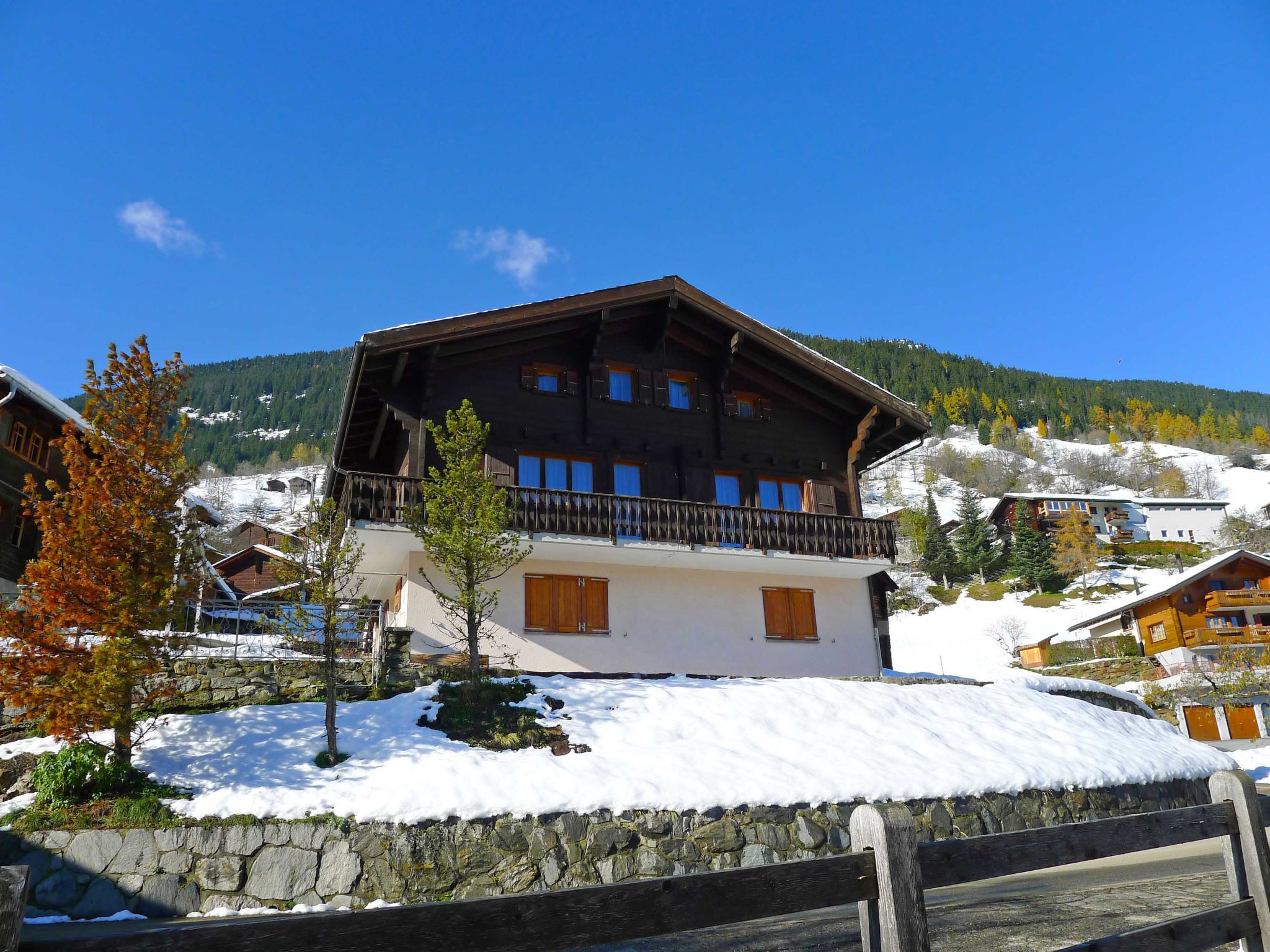 Foto 25 - Haus mit 6 Schlafzimmern in Riederalp mit garten und blick auf die berge