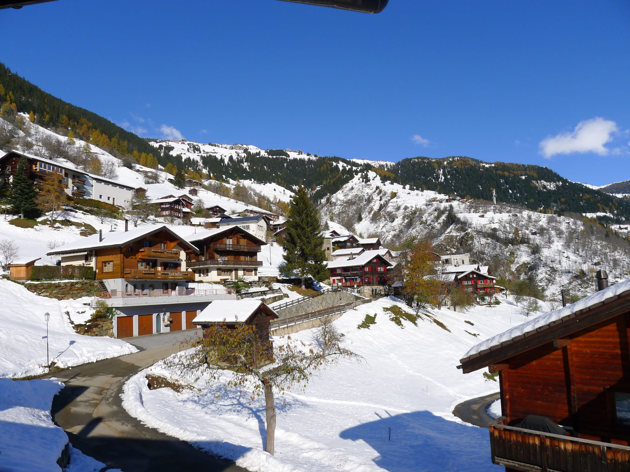 Photo 24 - 6 bedroom House in Riederalp with garden and mountain view