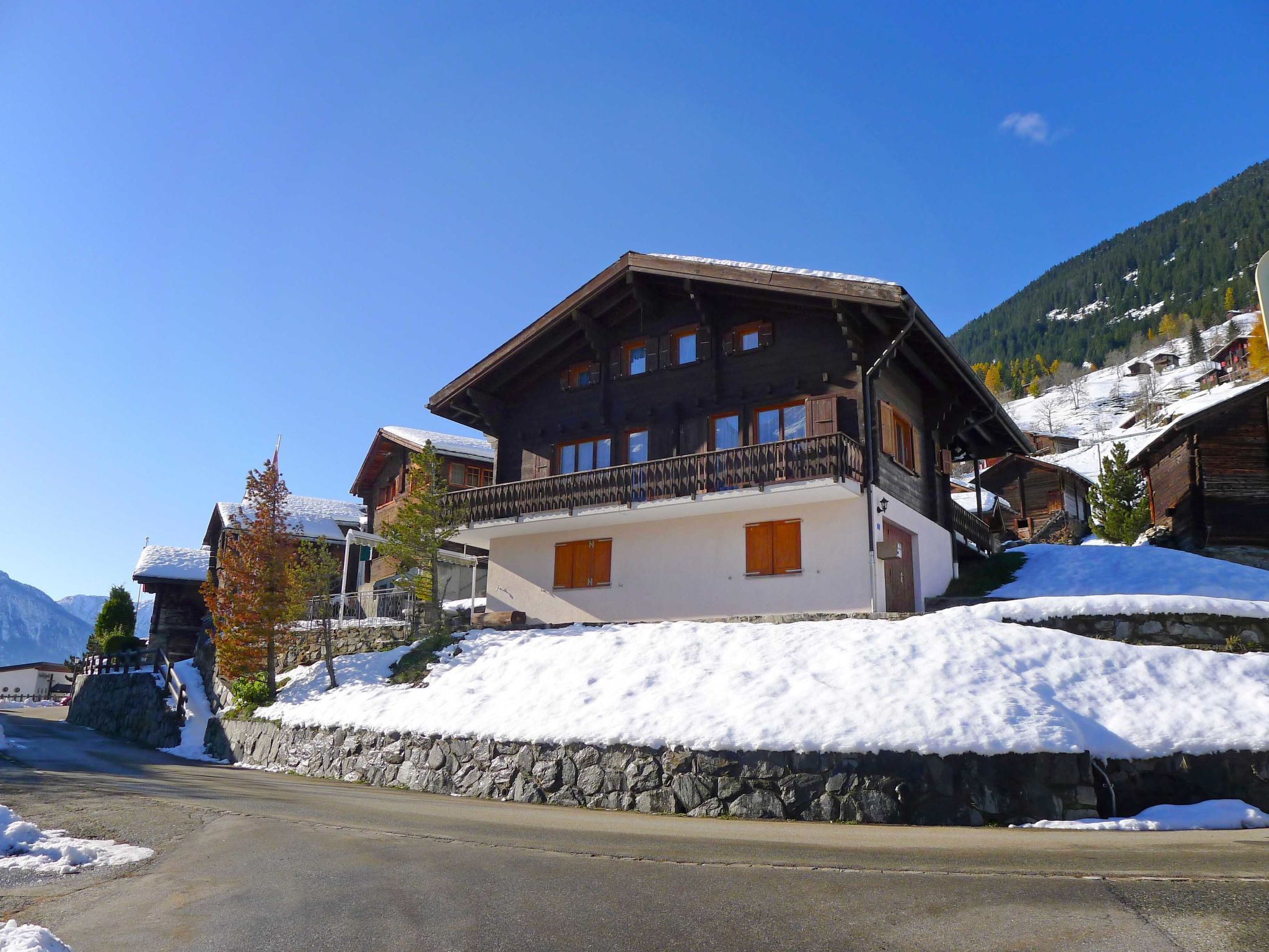 Foto 23 - Haus mit 6 Schlafzimmern in Riederalp mit garten und blick auf die berge