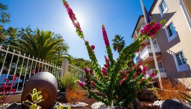 Los Dragos Del Norte - Foto 2