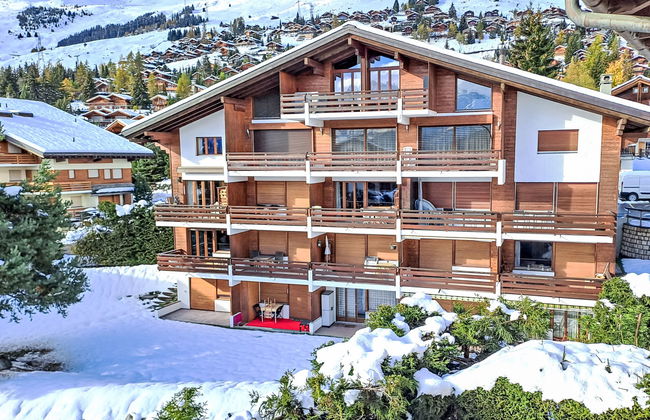 Apartment mit 2 Schlafzimmern in Val de Bagnes mit garten - Foto 21