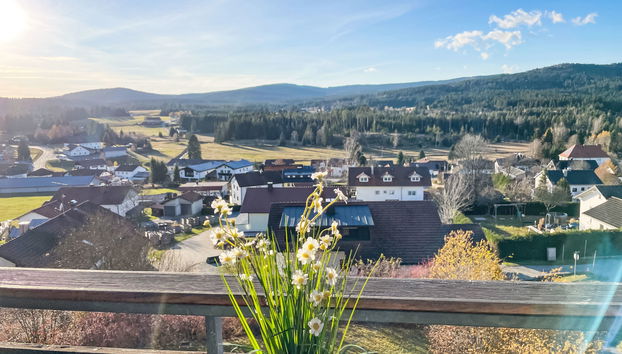 Appartement de 1 chambre à Haidmühle avec jardin - Photo 5