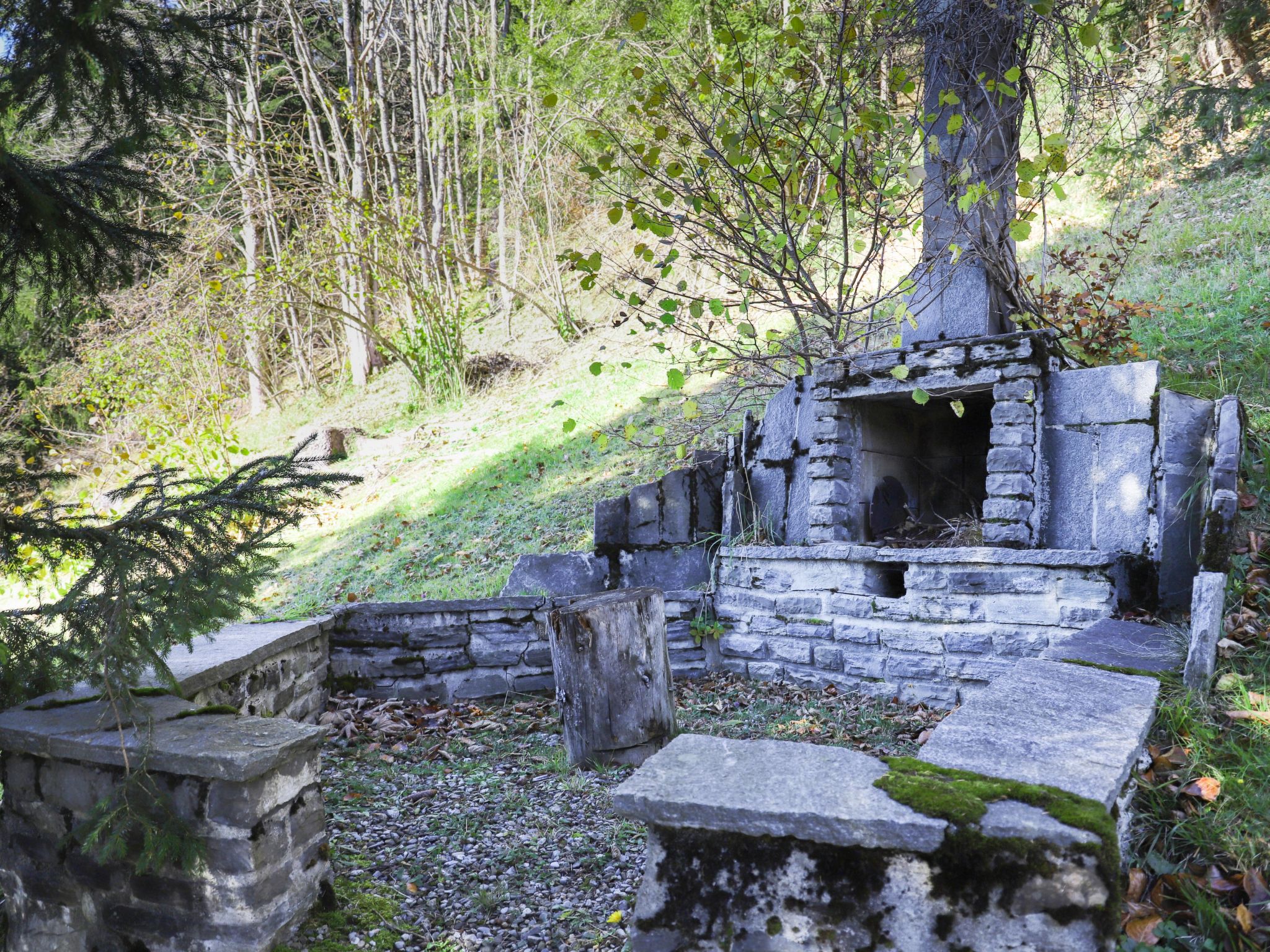 Photo 5 - Maison de 5 chambres à Gryon avec jardin