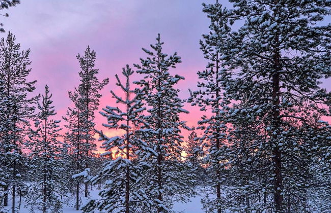 Haus mit 3 Schlafzimmern in Kolari - Foto 8