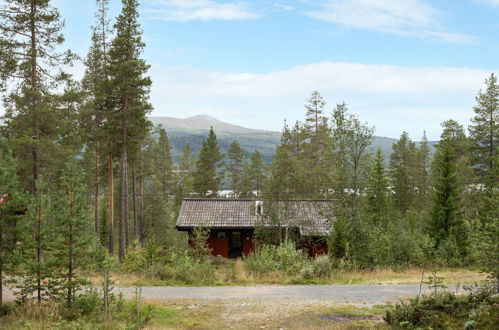 Foto 20 - Haus mit 4 Schlafzimmern in Lofsdalen mit sauna