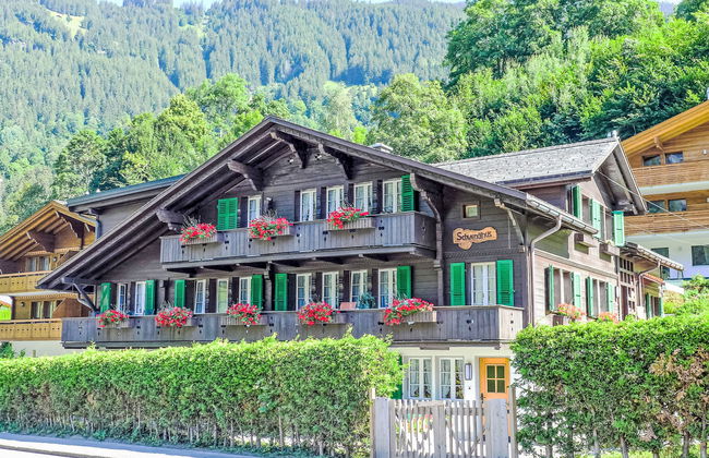 Apartamento de 1 quarto em Grindelwald com jardim - Foto 1