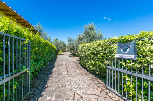 Foto 61 - Casa con 3 camere da letto a Impruneta con piscina privata e giardino