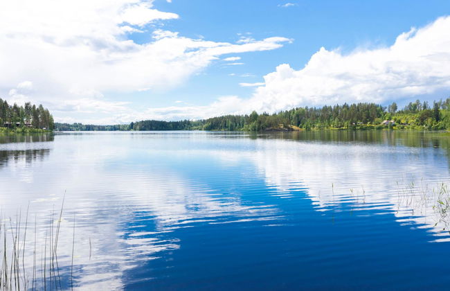 Haus mit 2 Schlafzimmern in Mikkeli mit sauna - Foto 8