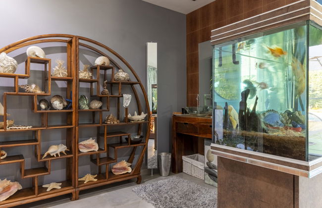 Casa de 2 quartos em Châteaurenard com piscina privada e jardim - Foto 4