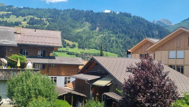 Apartment mit 3 Schlafzimmern in Zweisimmen - Foto 3