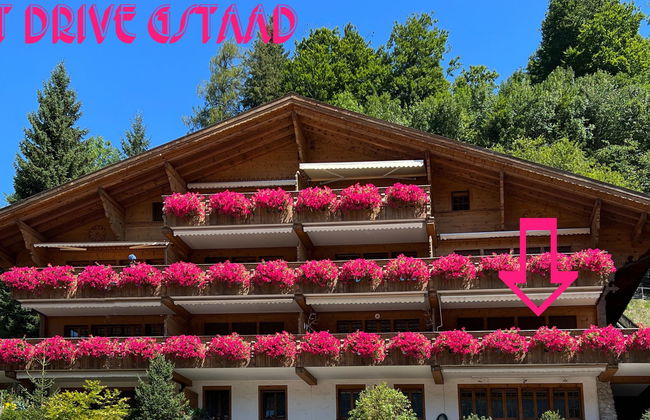 Apartamento de 2 quartos em Saanen - Foto 10