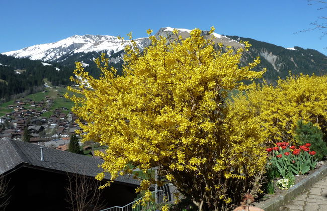 Apartamento de 1 quarto em Lenk - Foto 5