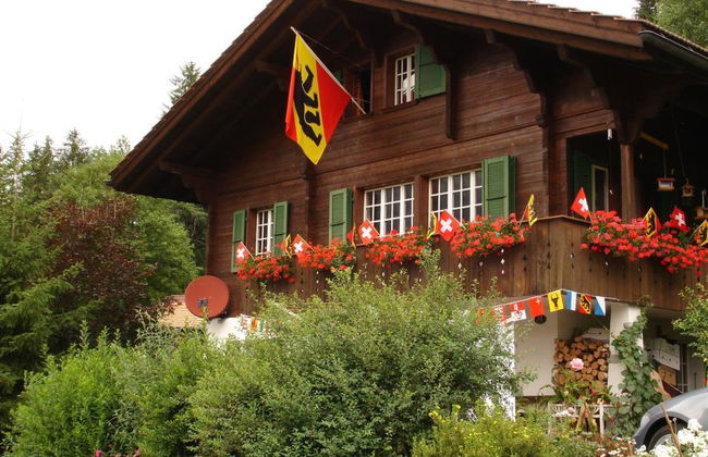 Apartamento de 1 quarto em Lenk - Foto 1