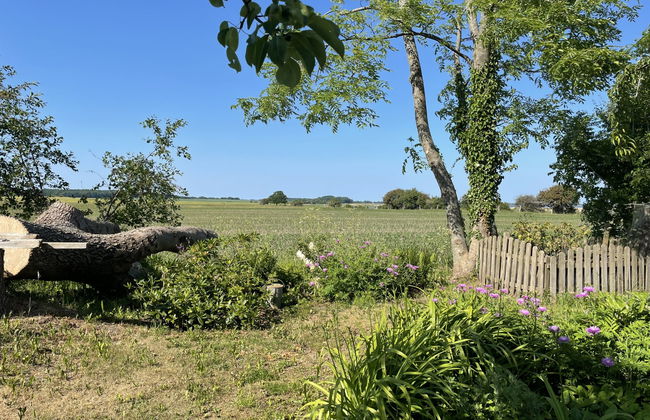 Casa de 3 quartos em Neuenkirchen com jardim e terraço - Foto 20