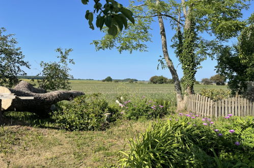 Photo 20 - Maison de 1 chambre à Neuenkirchen avec jardin et vues à la mer