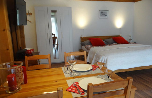 Apartamento de 1 quarto em Engelberg com piscina e sauna - Foto 7