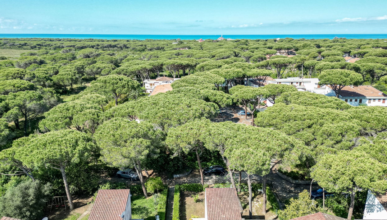 Haus mit 3 Schlafzimmern in Grosseto mit garten und terrasse - Foto 1
