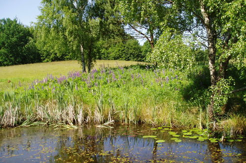 Photo 17 - Maison de 1 chambre à Kartuzy avec jardin et sauna