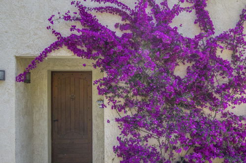 Photo 26 - 3 bedroom House in Six-Fours-les-Plages with garden and terrace