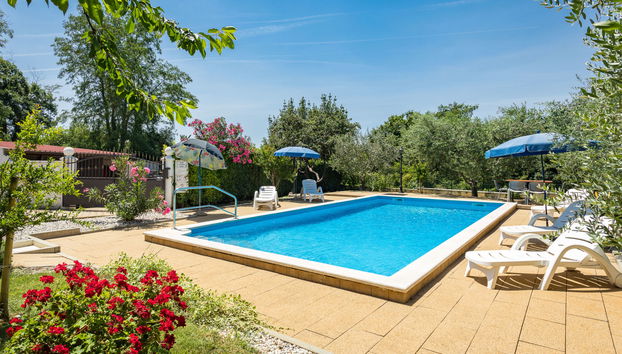 Haus mit 4 Schlafzimmern in Sveti Lovreč mit privater pool und garten - Foto 2