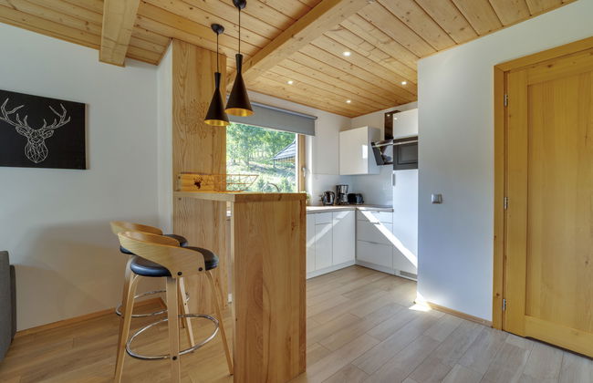 Casa de 2 quartos em Szczyrk com jardim e terraço - Foto 14