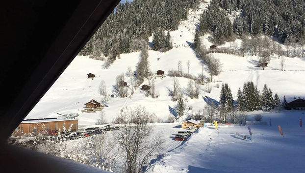 2 bedroom Apartment in Lenk - Photo 3