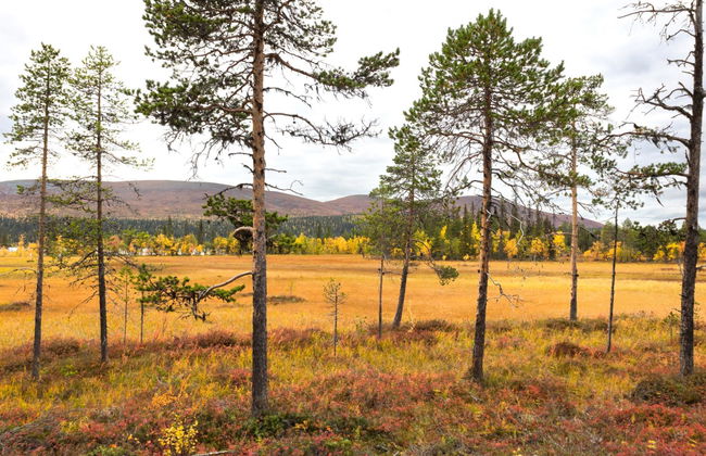 Haus mit 3 Schlafzimmern in Enontekiö - Foto 29