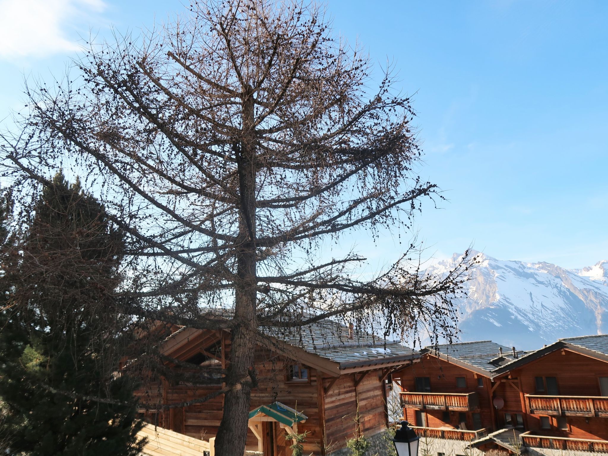 Photo 20 - Appartement de 2 chambres à Nendaz avec piscine et vues sur la montagne