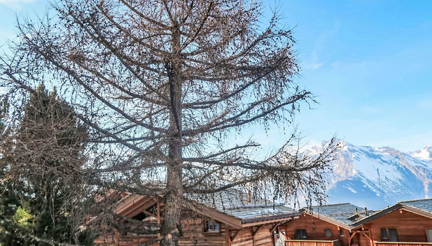 Apartamento de 3 quartos em Nendaz com piscina e terraço - Foto 5