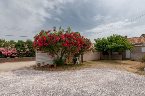 Foto 18 - Casa con 3 camere da letto a Santa-Lucia-di-Moriani con terrazza e vista mare