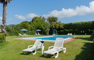 Foto 2 - Casa de 2 habitaciones en Bolsena con piscina y jardín