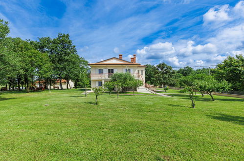 Foto 43 - Appartamento con 3 camere da letto a Žminj con piscina e giardino