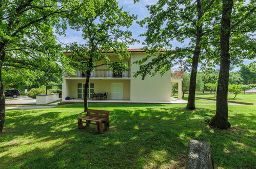 Foto 41 - Appartamento con 3 camere da letto a Žminj con piscina e giardino