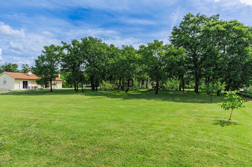 Foto 59 - Appartamento con 3 camere da letto a Žminj con piscina e giardino