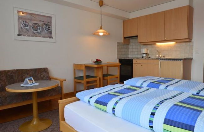 Apartamento de 1 quarto em Saas-Fee - Foto 8