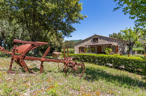 Foto 38 - Haus mit 1 Schlafzimmer in Volterra mit schwimmbad und garten