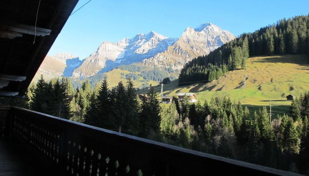 Apartamento de 3 quartos em Adelboden - Foto 3