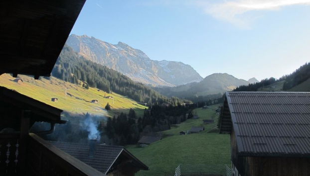 Apartamento de 3 quartos em Adelboden - Foto 4