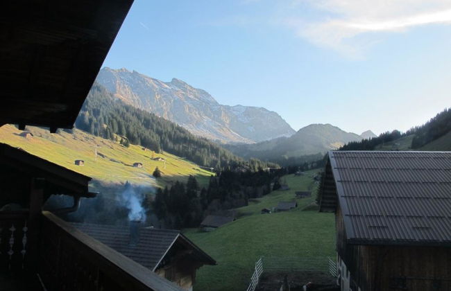 Apartamento de 3 quartos em Adelboden - Foto 4