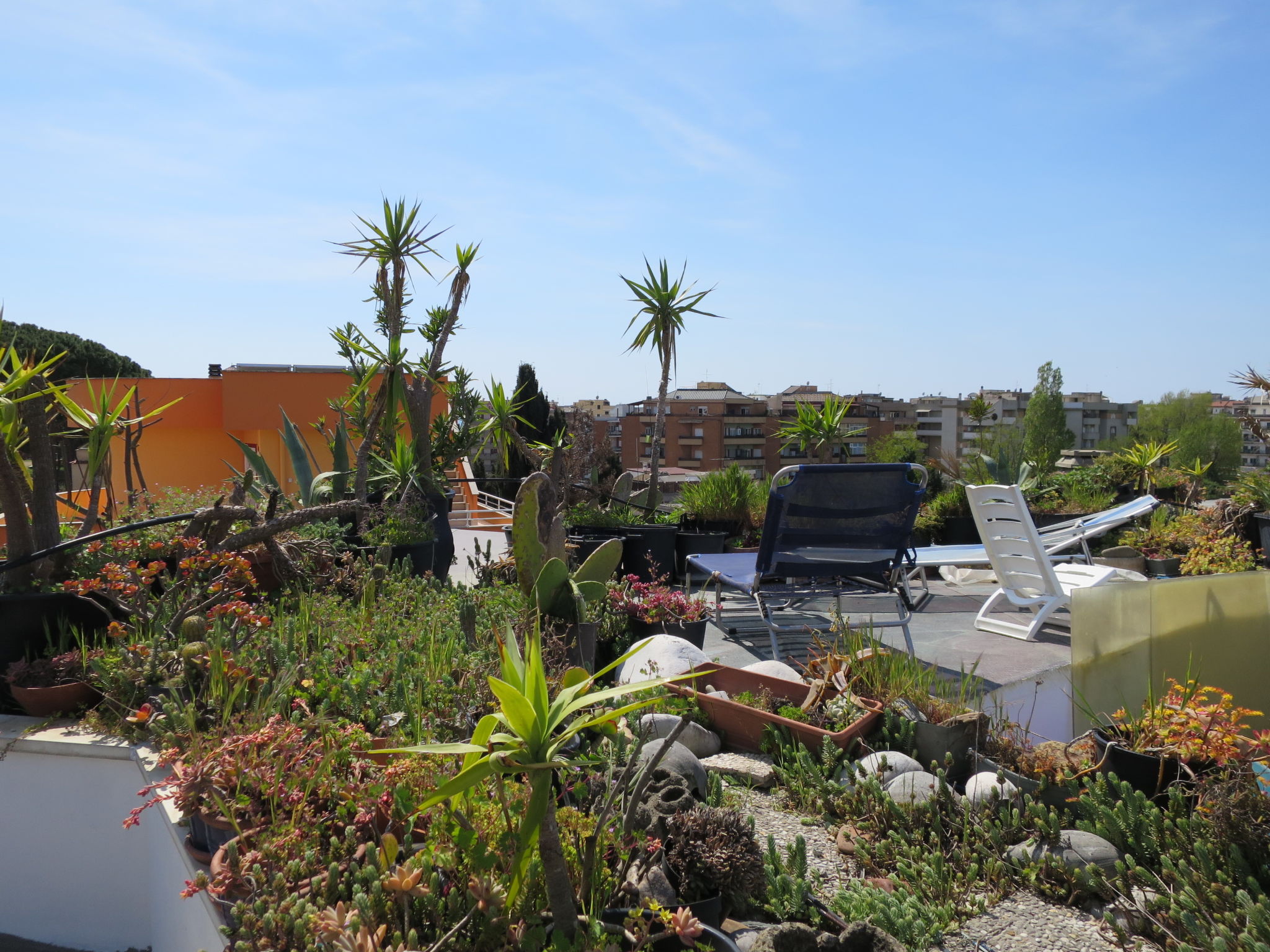 Photo 37 - Maison de 4 chambres à Nettuno avec jardin et vues à la mer